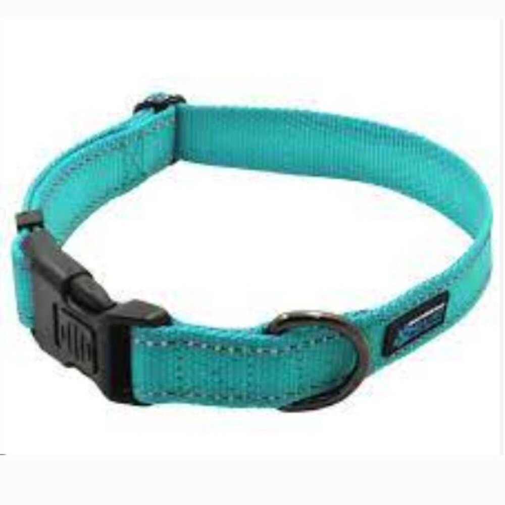 Dog Collar: Teal, NEO, Large